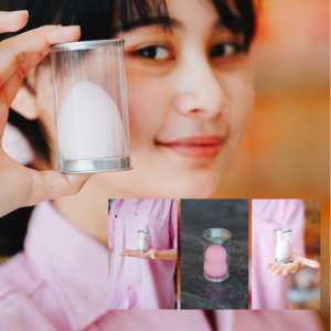 Beauty Blender Pouch